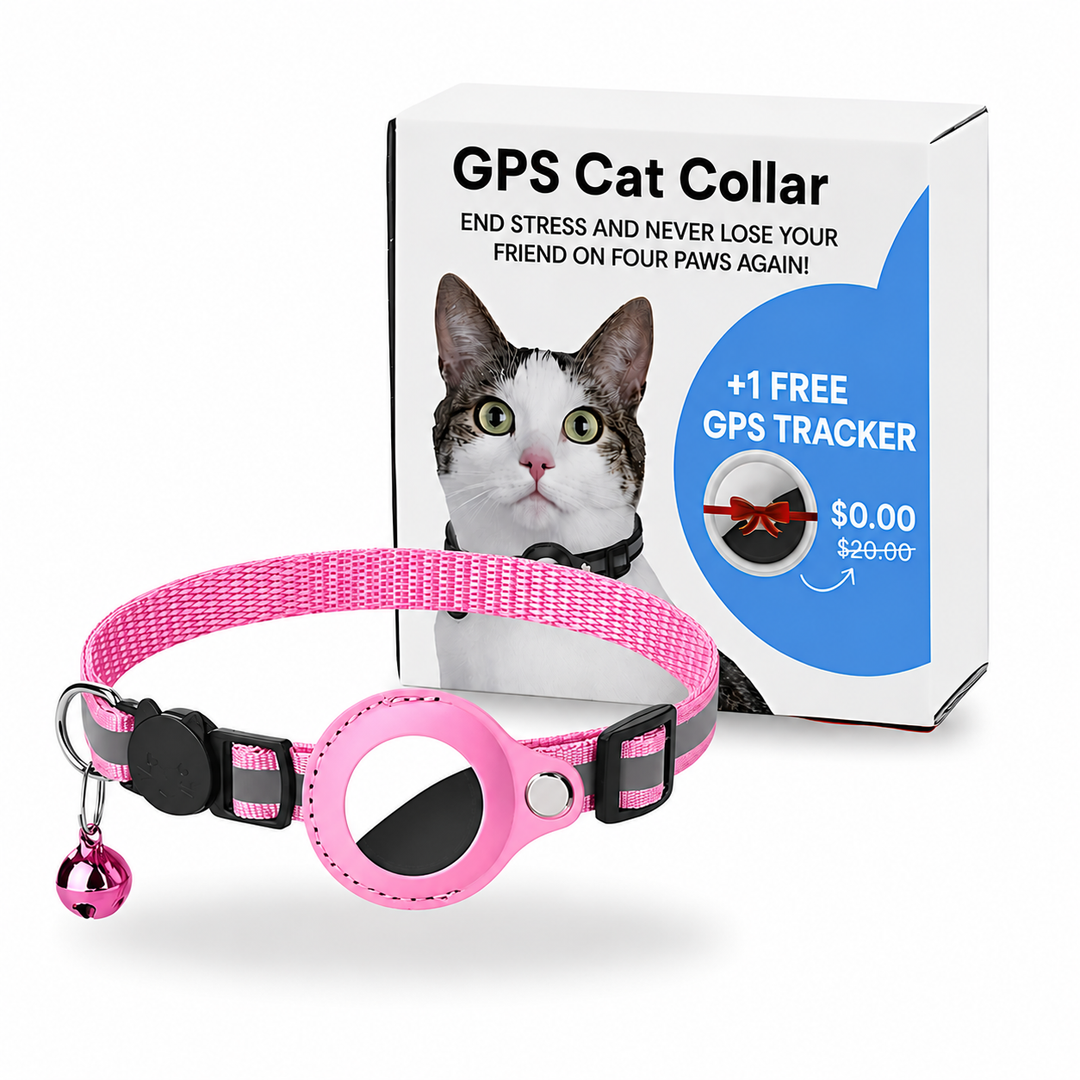 GPS Halsband Katze – Echtzeit Tracker Mit App Für Sicherheit Unterwegs