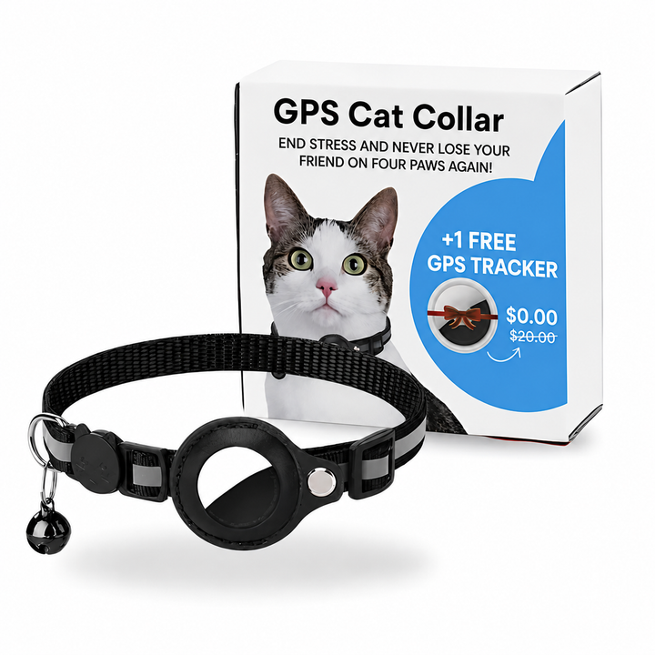 GPS Halsband Katze – Echtzeit Tracker Mit App Für Sicherheit Unterwegs