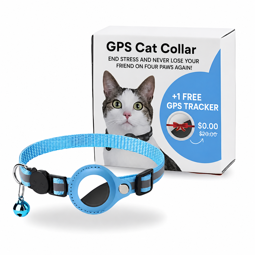 GPS Halsband Katze – Echtzeit Tracker Mit App Für Sicherheit Unterwegs